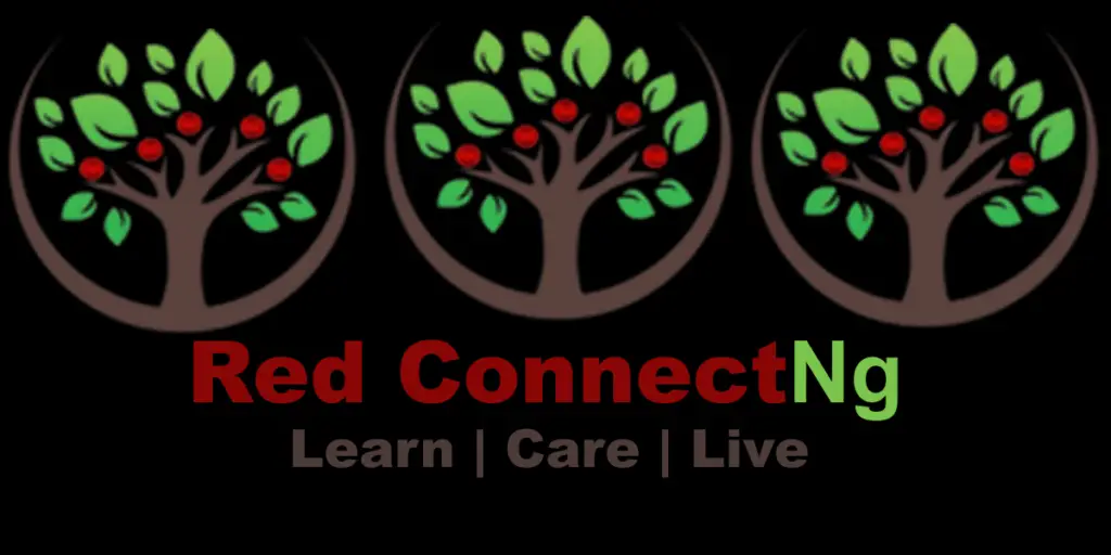 Red ConnectNg Logo